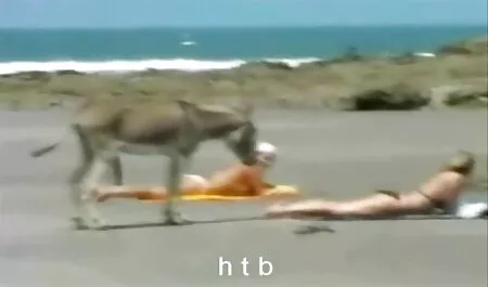 Bơm sex nhật bản hd không che