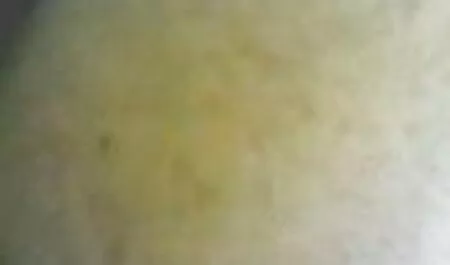 Latin đồng phim sex nhật bản hay không tính